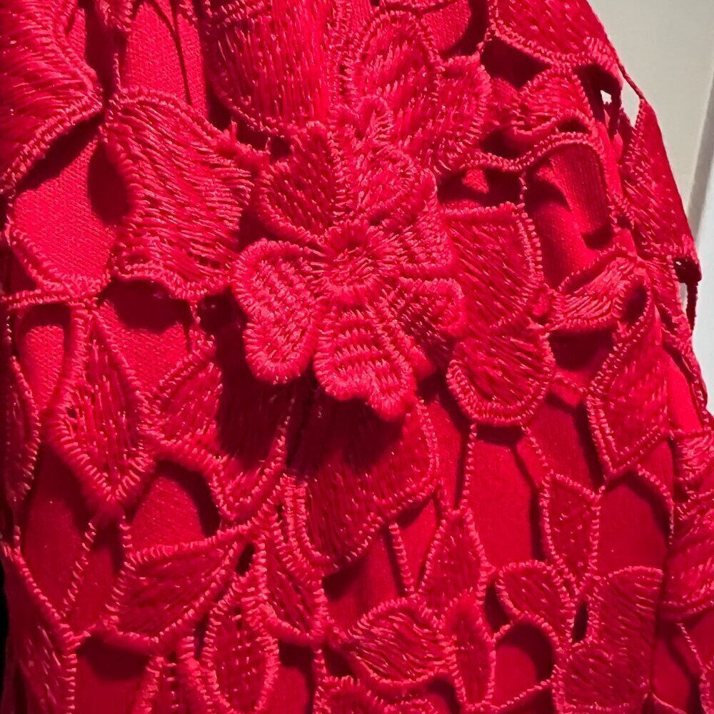 Betsy & Adam Red Crochet Lace Tulip Illusion Hem Cocktail Dress, Size 12 - Picture 14 of 16